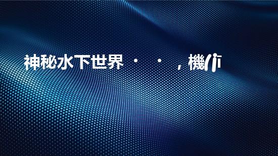 神秘水下世界，機(jī)器人探秘的奇幻之旅！